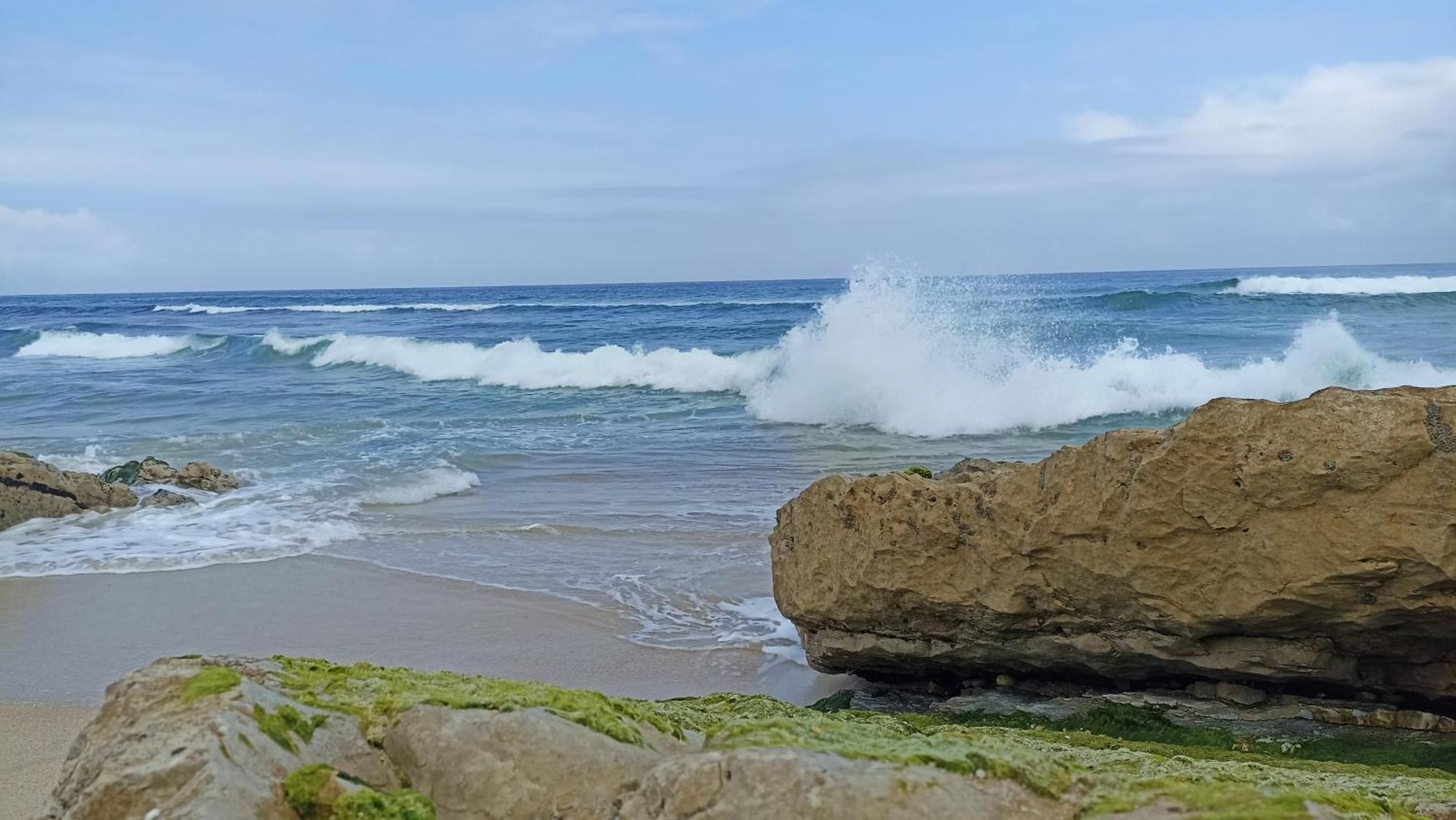 Tinyhouse Tilda - Near Famous Beaches Pataias Esterno foto