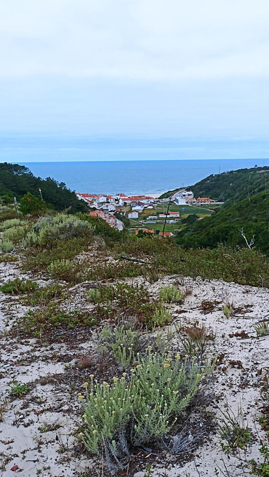 Tinyhouse Tilda - Near Famous Beaches Pataias Esterno foto