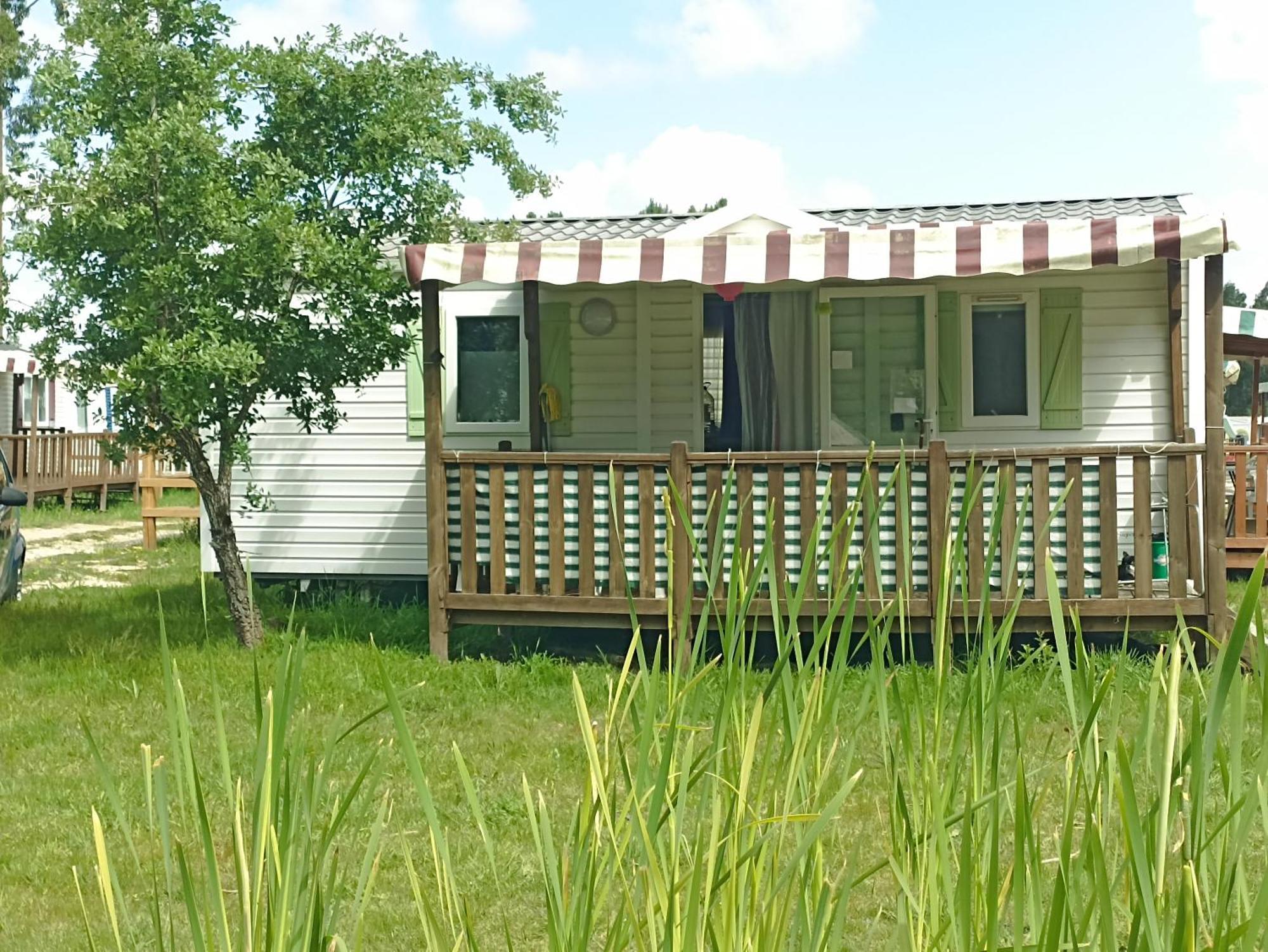 Tinyhouse Tilda - Near Famous Beaches Pataias Esterno foto