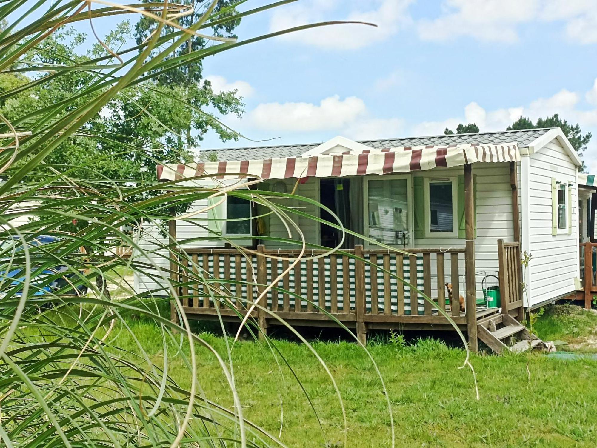 Tinyhouse Tilda - Near Famous Beaches Pataias Esterno foto