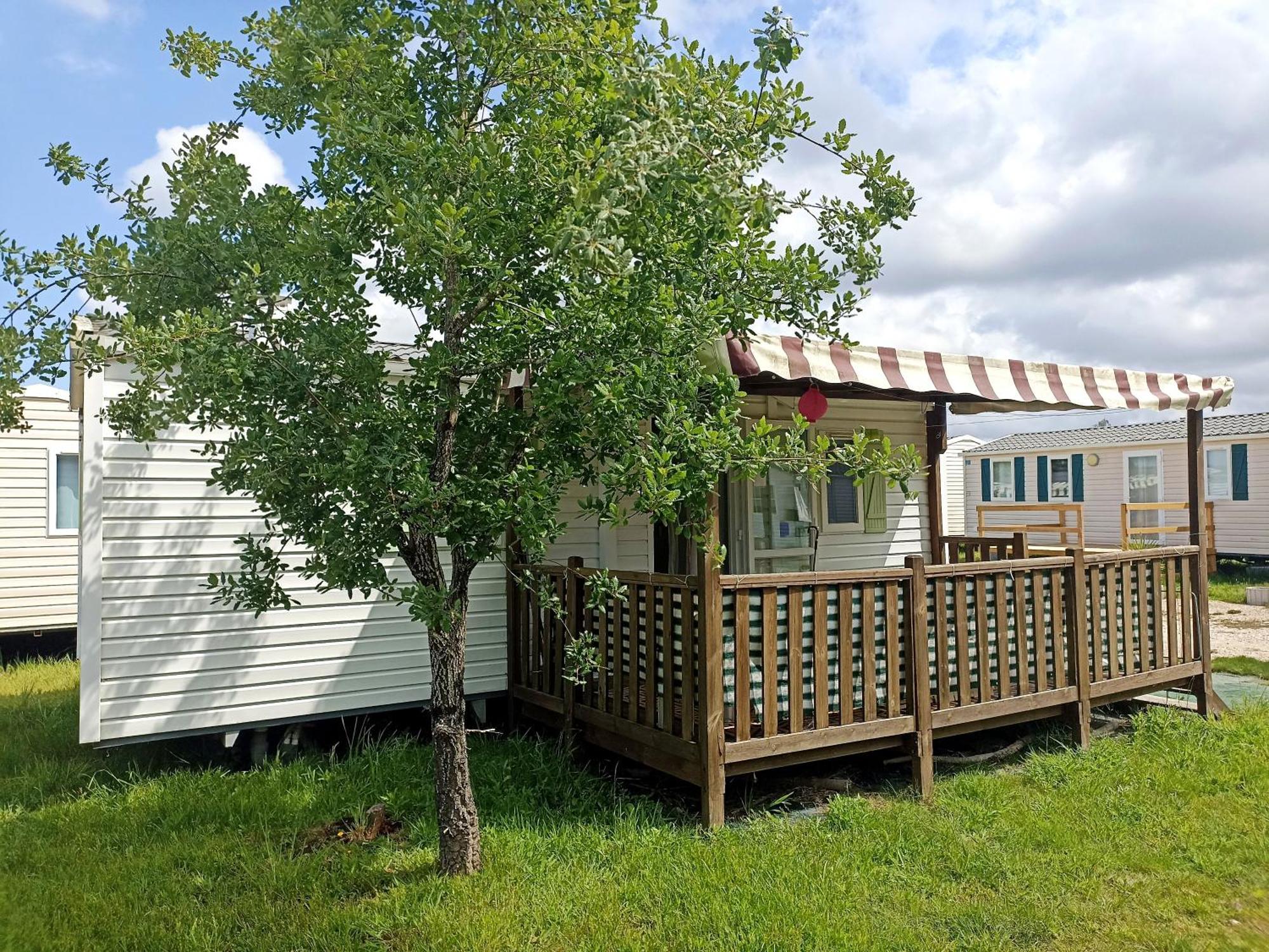 Tinyhouse Tilda - Near Famous Beaches Pataias Esterno foto