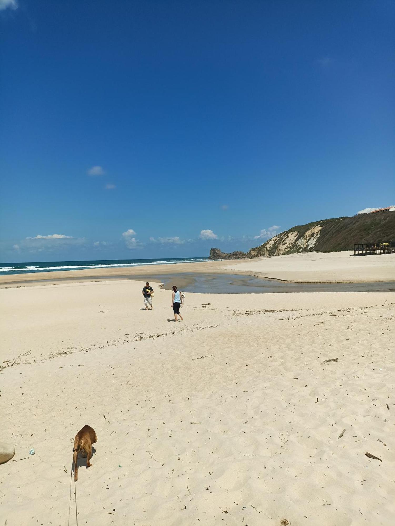 Tinyhouse Tilda - Near Famous Beaches Pataias Esterno foto