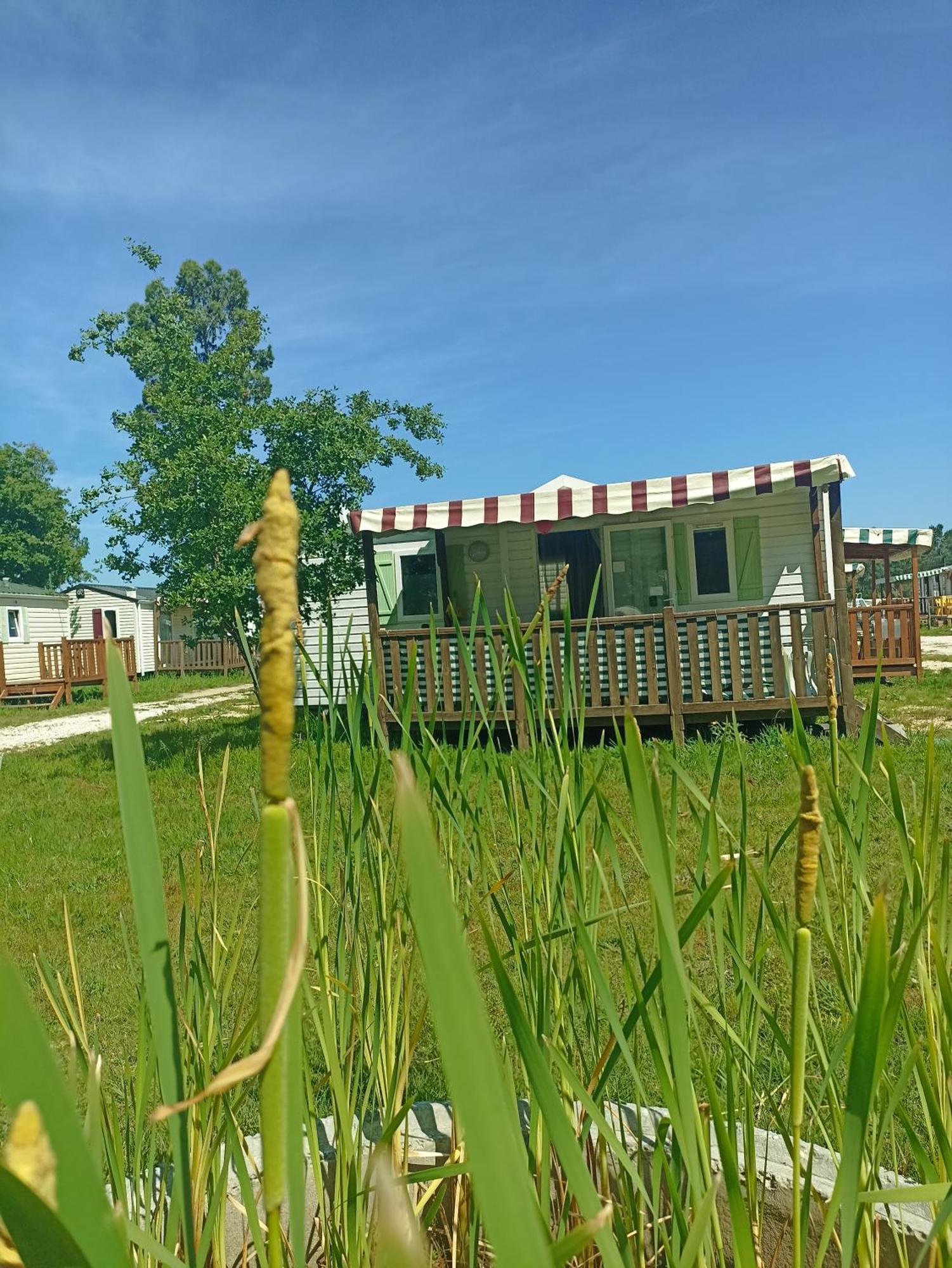 Tinyhouse Tilda - Near Famous Beaches Pataias Esterno foto